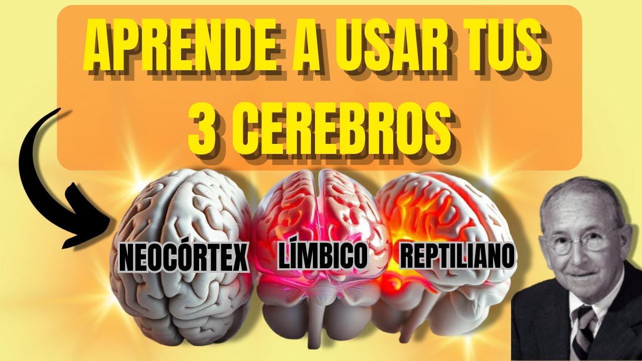 ¿POR QUÉ ACTUAMOS ASÍ? ✅La Teoría del Cerebro Triuno Te Lo Explica😯