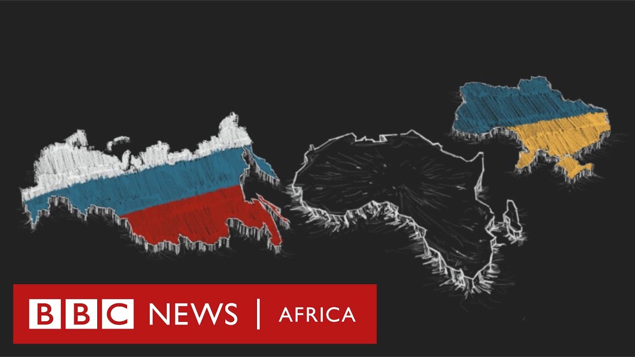 What Russia's invasion of Ukraine means for Africa - BBC Africa