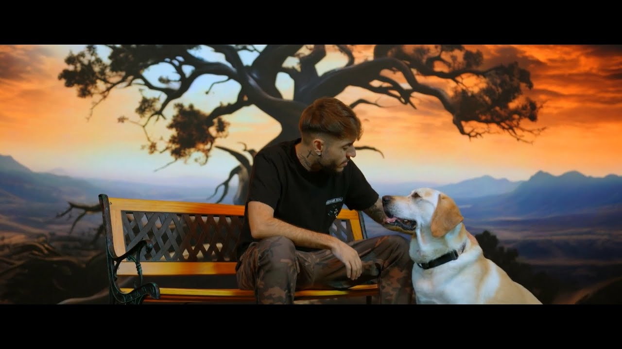 Nikolas - Si copacul din gradina