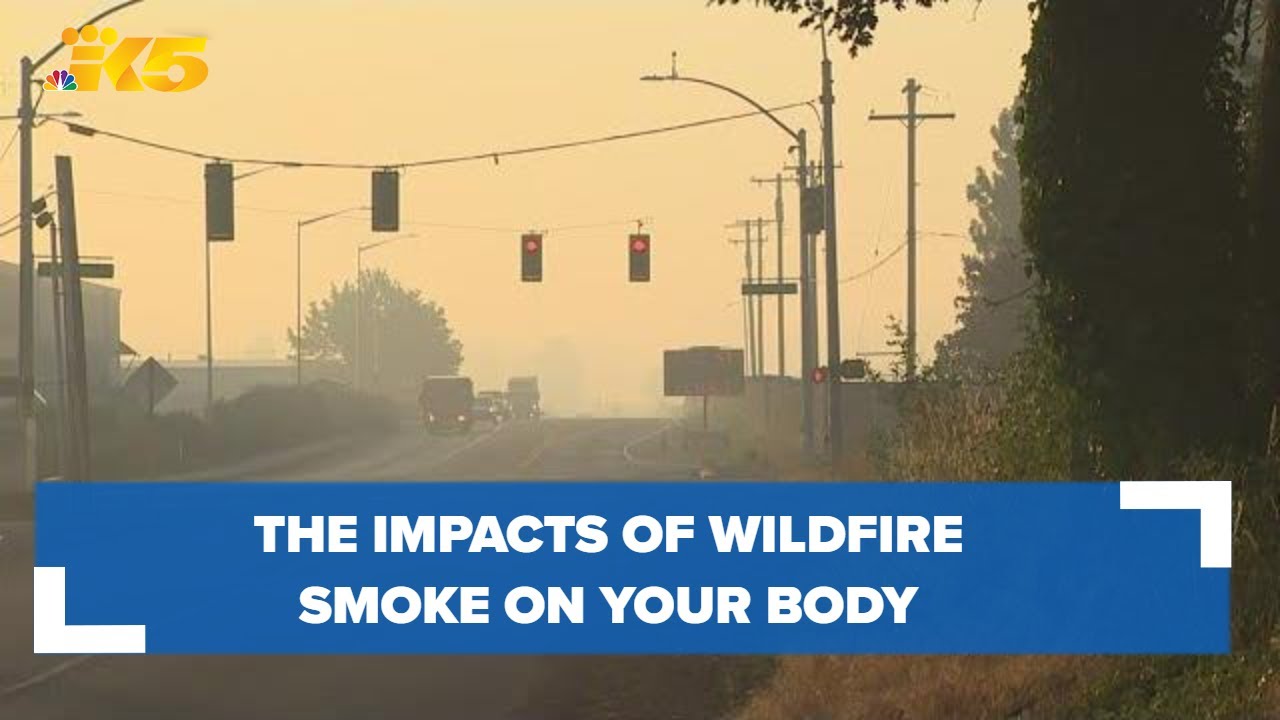 This is what wildfire smoke does to your body: HealthLink
