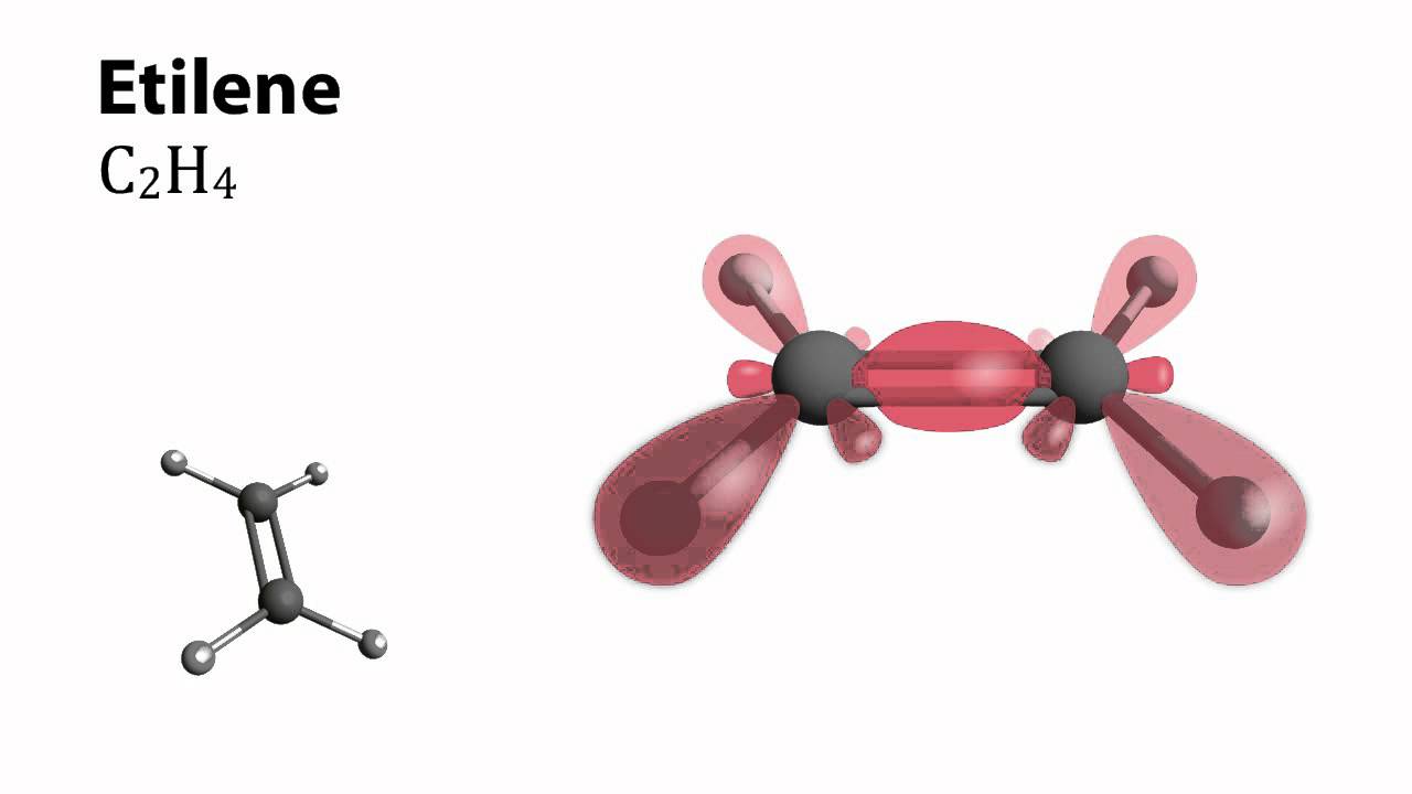 L'ibridazione dell'atomo di carbonio (tratto da Dal carbonio agli OGM)