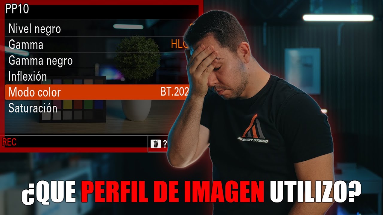 ✅Entiende los PERFILES de IMAGEN de tu cámara SONY ALPHA (a7iv,A7cii,a6700,a7iii..)