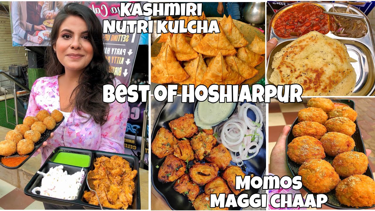 Best food of Hoshiarpur | Kashmiri Nutri Kulche , Soya Cafe, Momos, Samosa Chaat | Tanya Dhamija