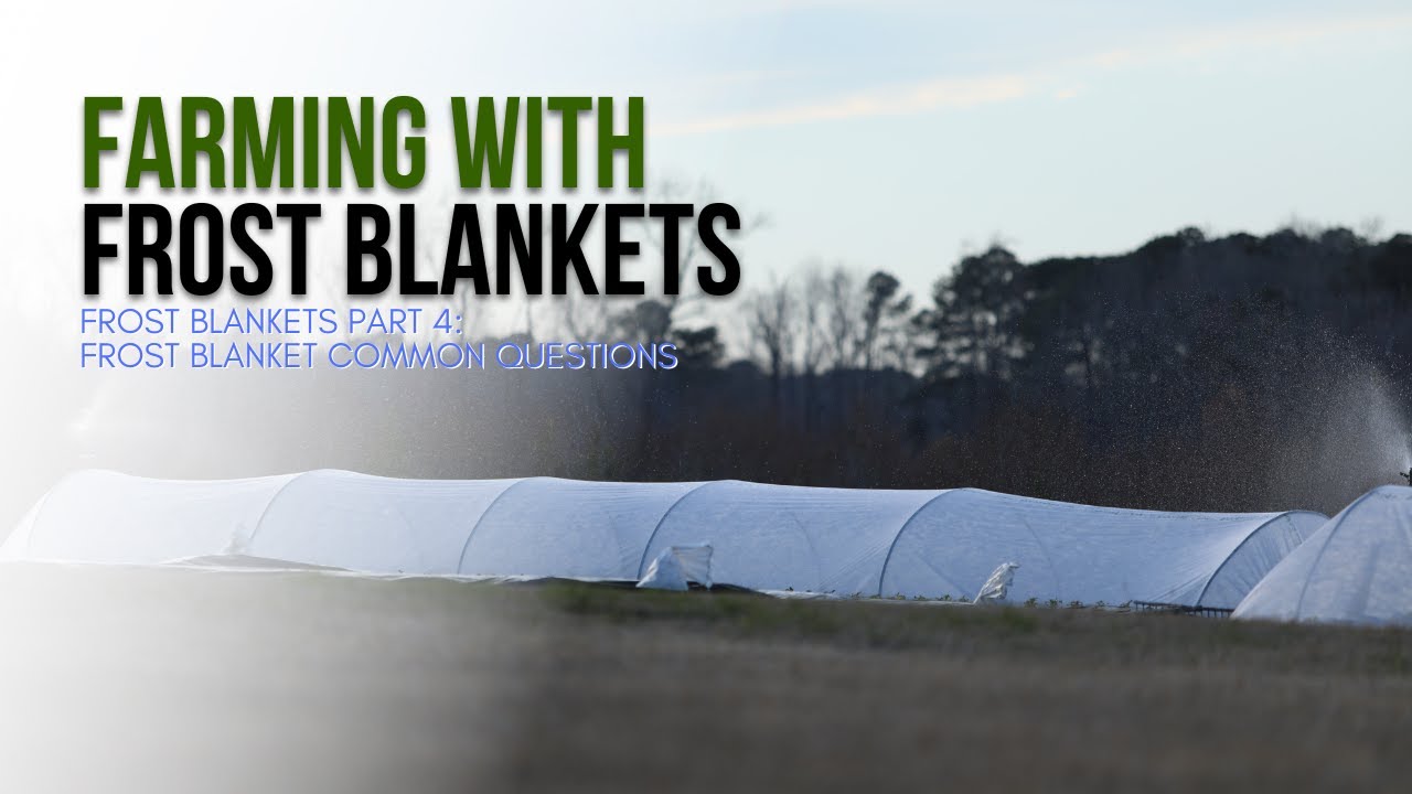 Don't Get Left Out in the Cold: Bootstrap Farmer Answers Frost Blanket FAQs
