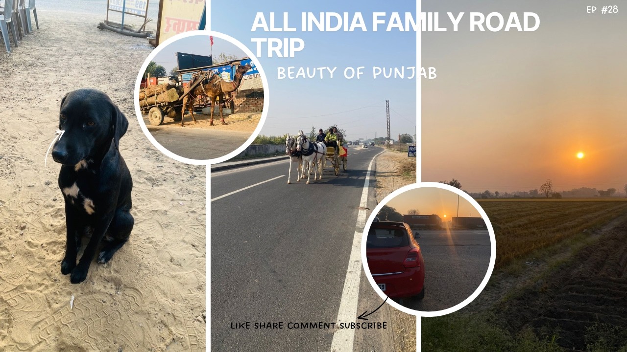 EP #28 All India Road trip|| പഞ്ചാബ്: കാണേണ്ട മനോഹര സ്ഥലങ്ങൾ