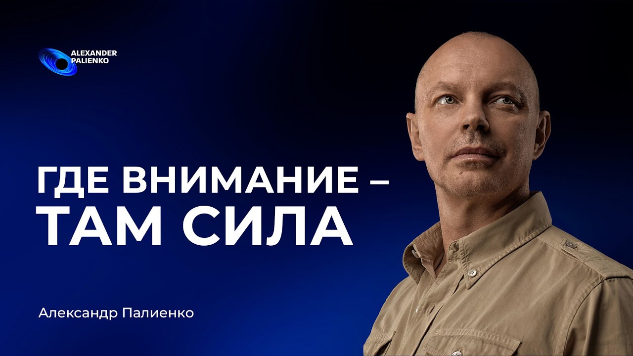 Где внимание &mdash; там сила. Александр Палиенко.