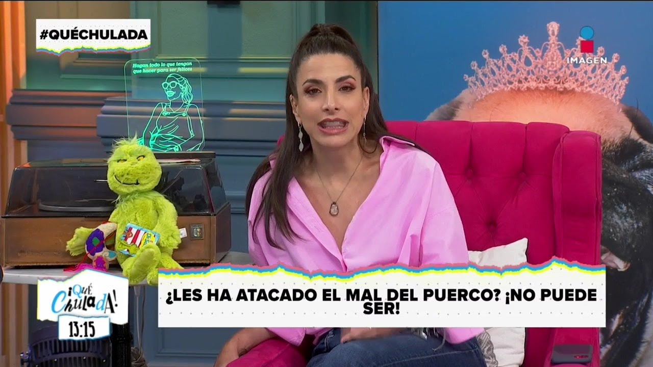 Mal del Puerco: explicaci&oacute;n cient&iacute;fica de por qu&eacute; nos ataca | Qu&eacute; Chulada