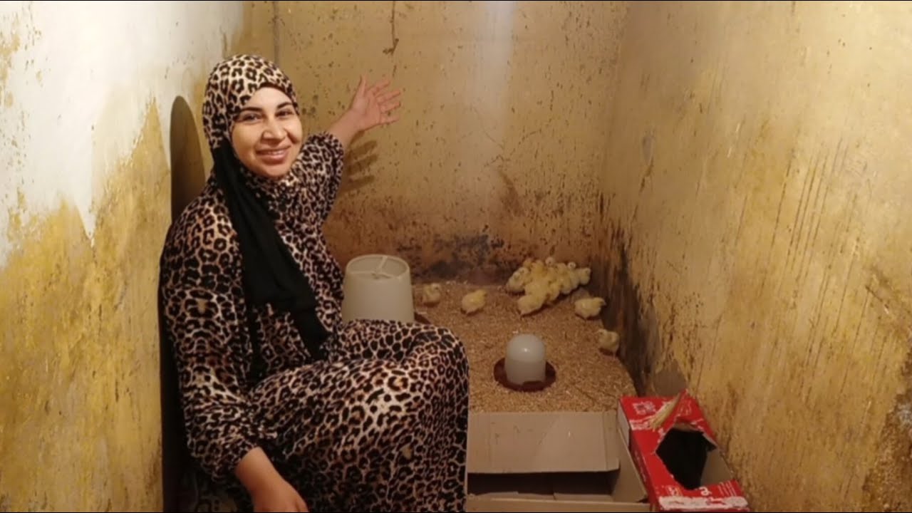روتيني الصباحي عند الطيور واول دوره كتاكيت🐥 وبط مولر🦆  لشهر رمضان🌙 2026 هي دي الست المصريه الشاطره