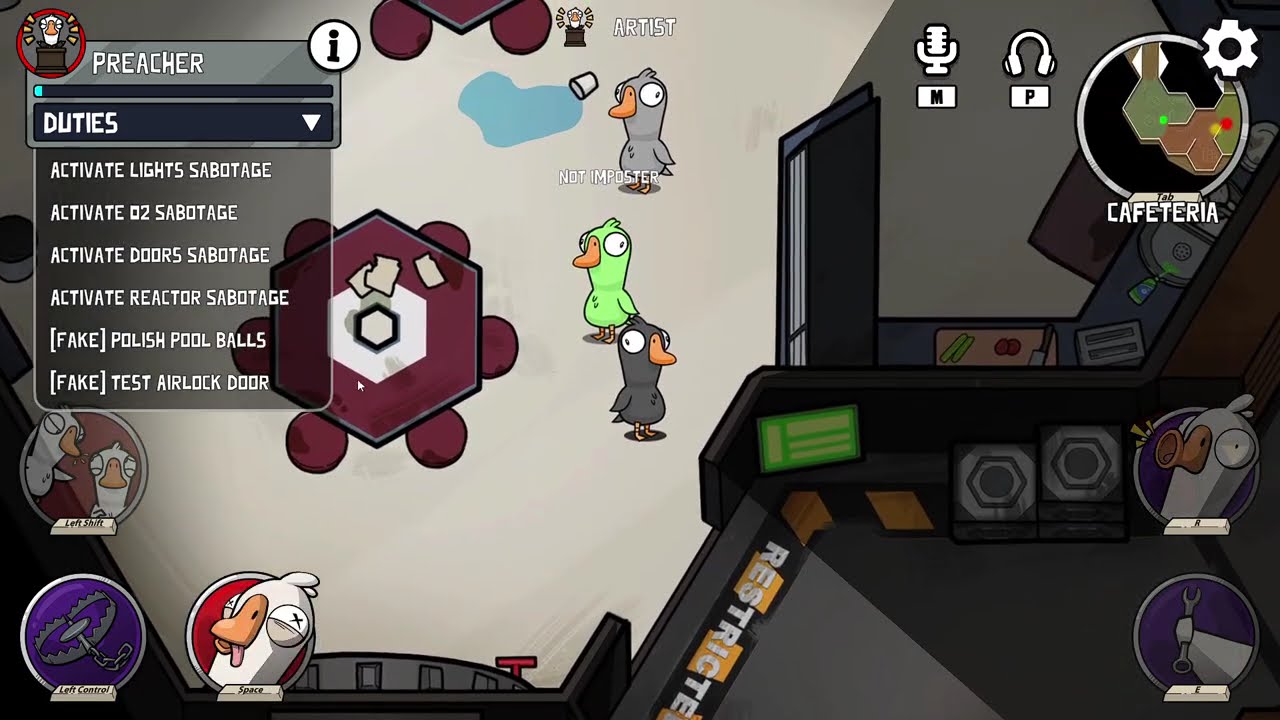 playing goose, goose duck!