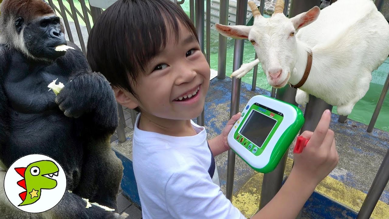 小学館の図鑑NEOPadを使ってどうぶつえんを探検しよう！たくさん写真を撮って生き物博士になろう！ トイキッズ