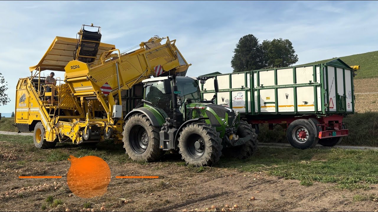 Zwiebelernte🧅| Schweiz | 700müM | Ropa Keiler