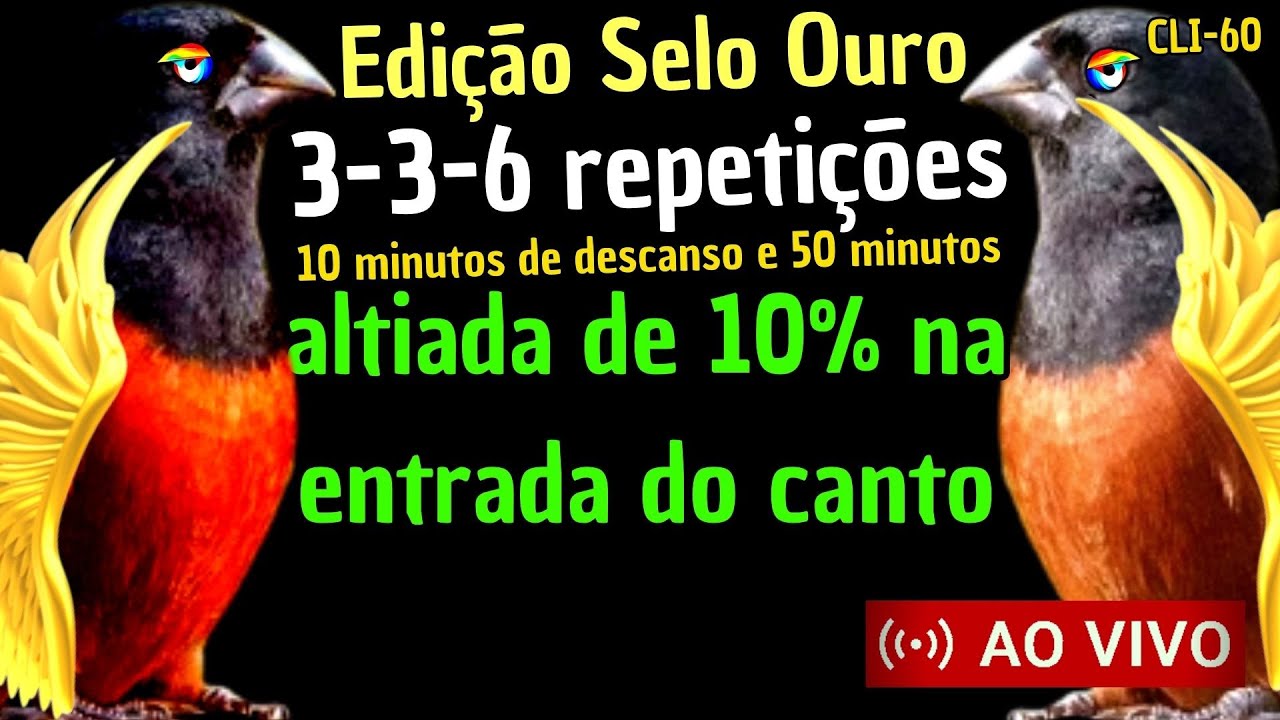 Edi&ccedil;&atilde;o Selo Ouro, 3-3-6-3 Repeti&ccedil;&otilde;es, Altiada de 10% na entrada do canto, 10x50 de canto #Cli60