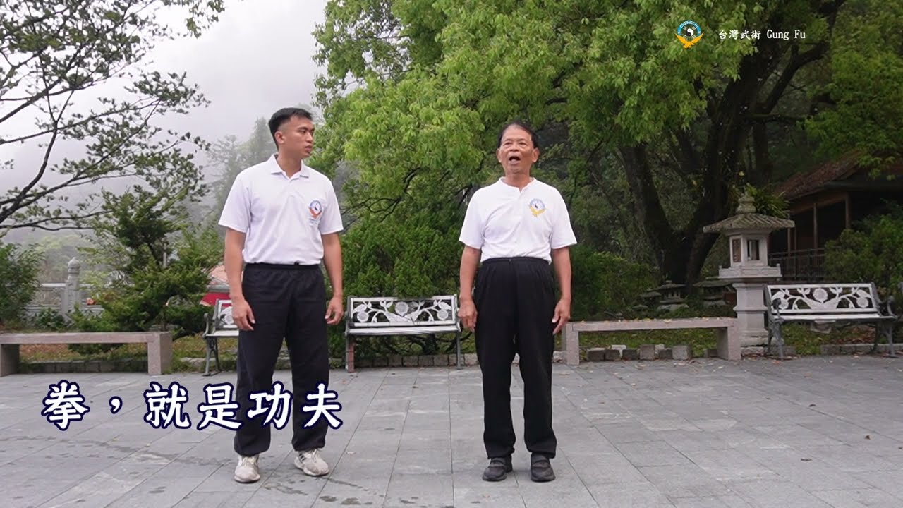 功法1 太極拳推手與散手之觀念與經驗談｜台灣武術 Gung Fu ｜Tai Chi Gungfu｜