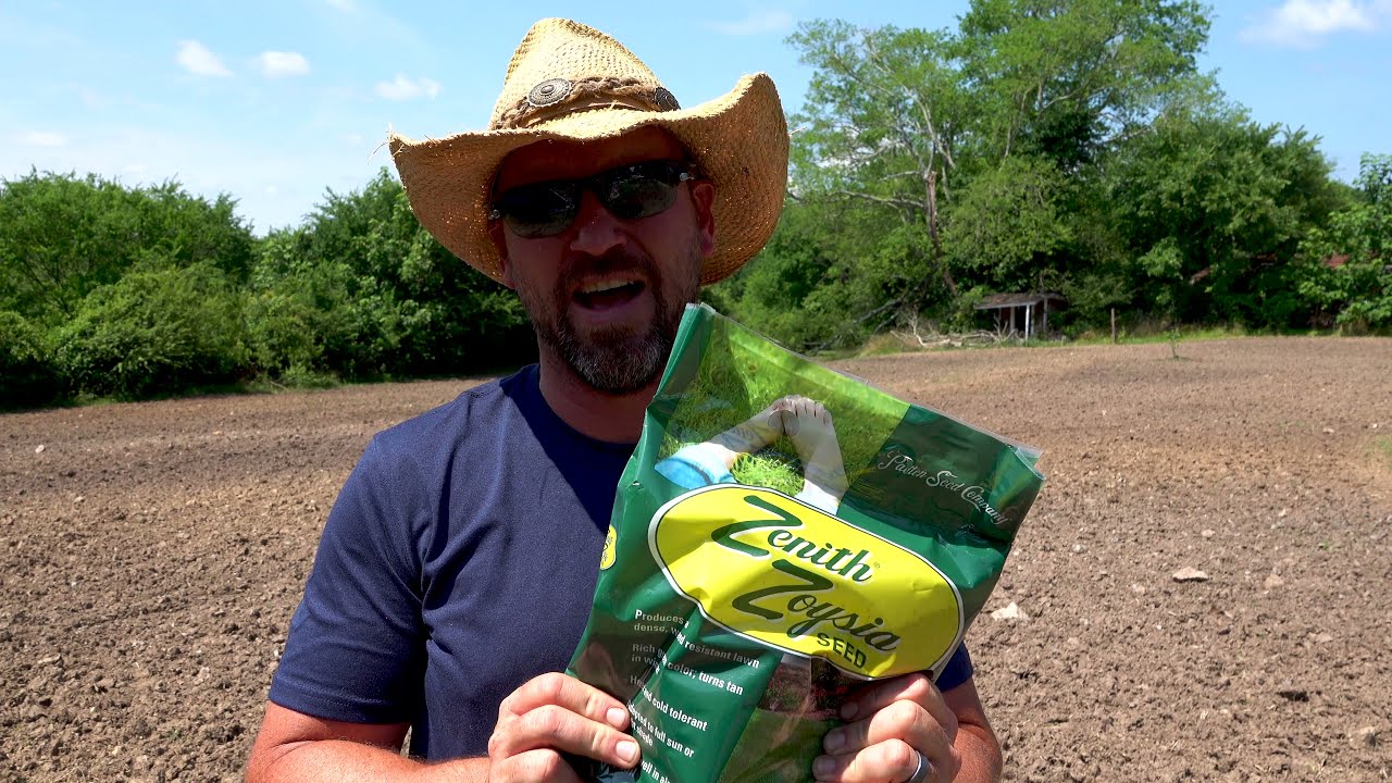 Reseeding a lawn from scratch with Zenith Zoysia Grass