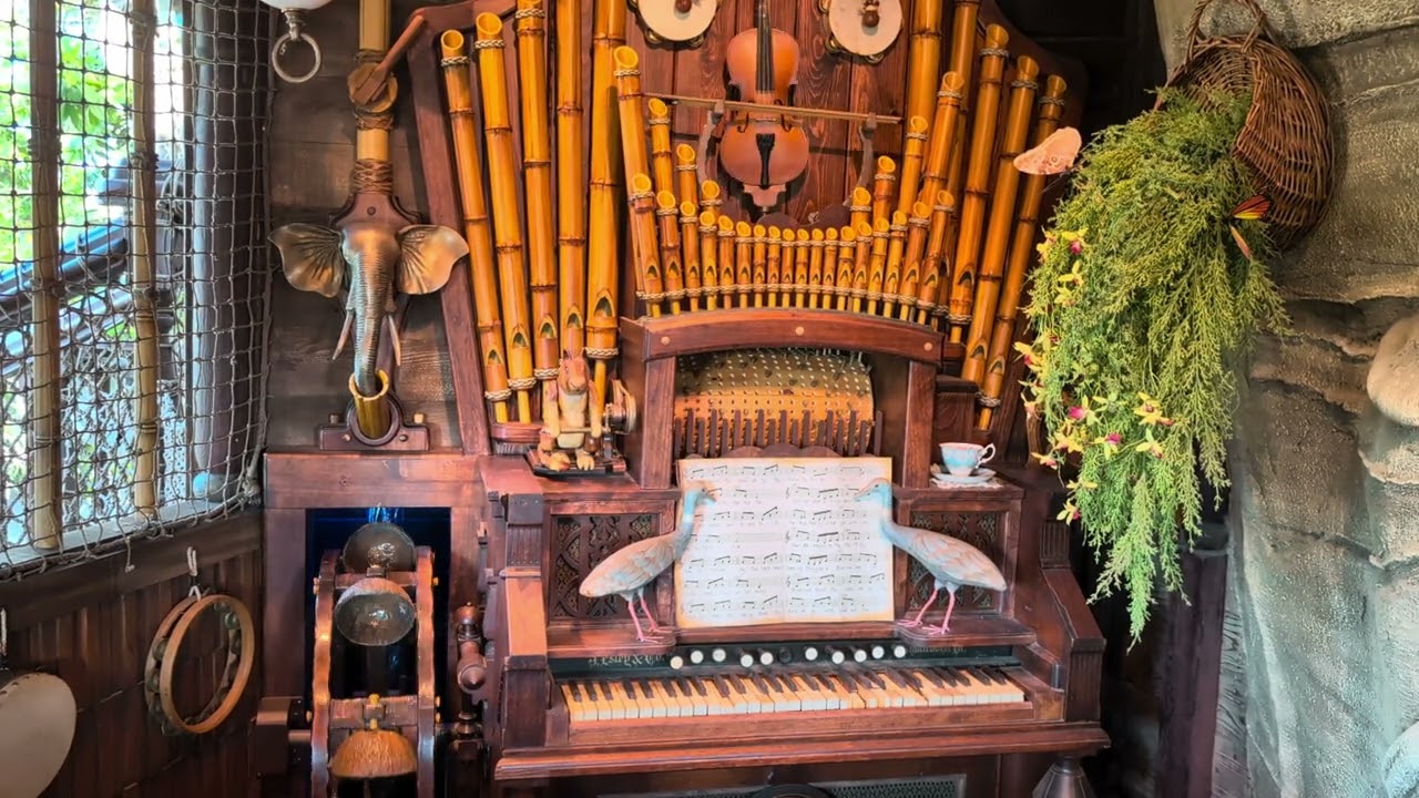 Adventureland Treehouse Music Room - Disneyland 7/16/2025 - Disneyland's 70th Trip
