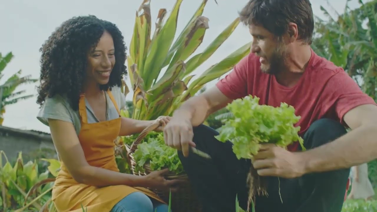 Building Sustainable Aquaculture through Holistic Training in Animal Health and Biosecurity