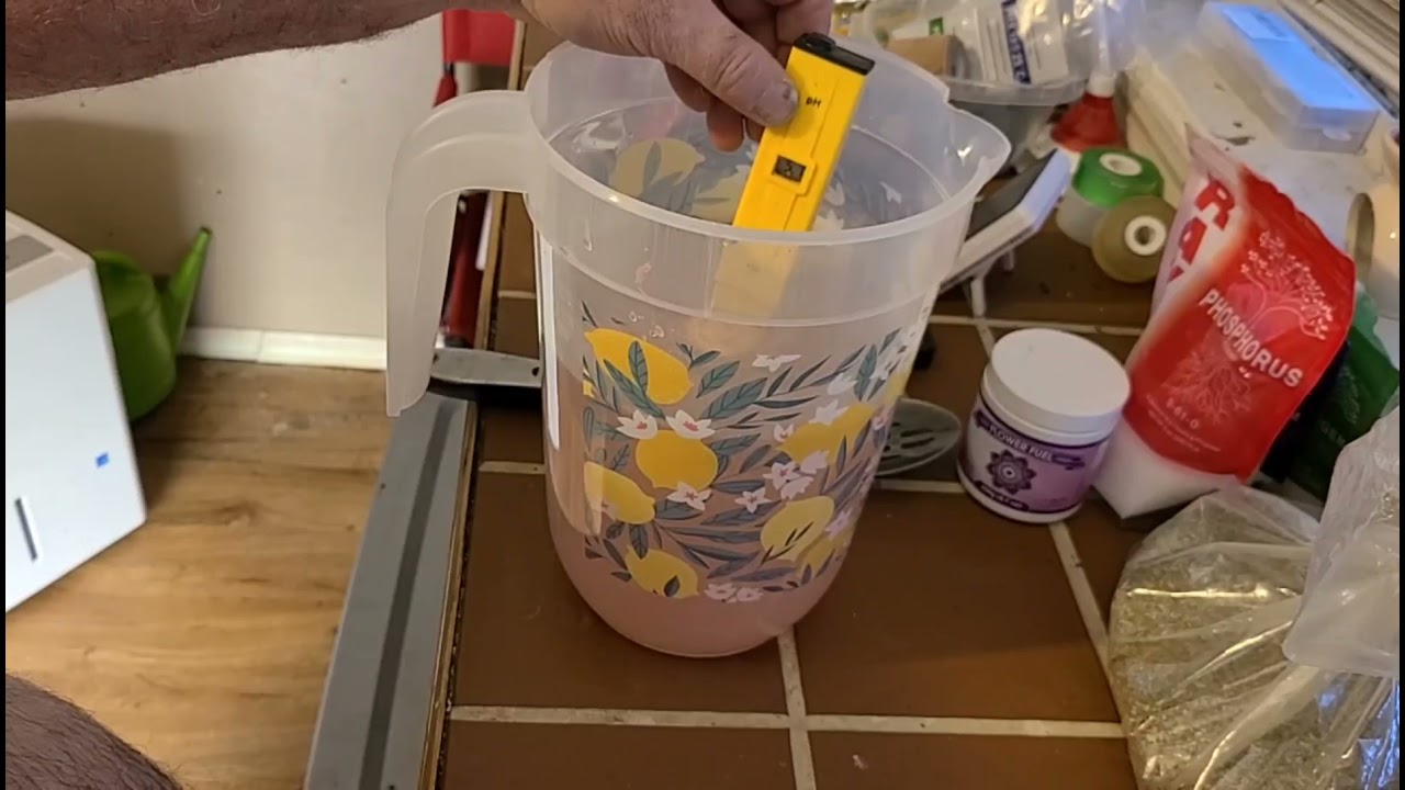 Treating your Cal -Mag deficiency plants, giveaway info at the end of video!