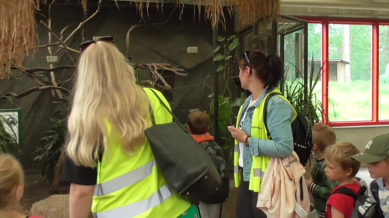 Vlogg Del 1 Parkens Zoo Eskilstuna