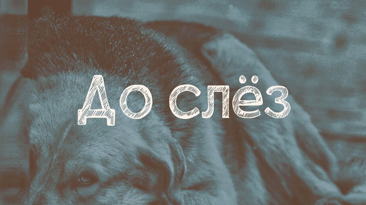 SERPO - До слёз (serpo prod.) / ПРЕМЬЕРА ТРЕКА 2021!!!
