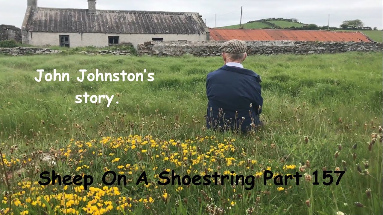 Sheep On A Shoestring Part 157