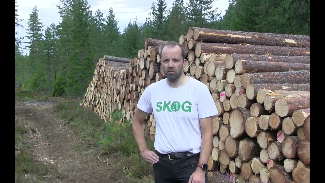 FeltGIS AS Norsk