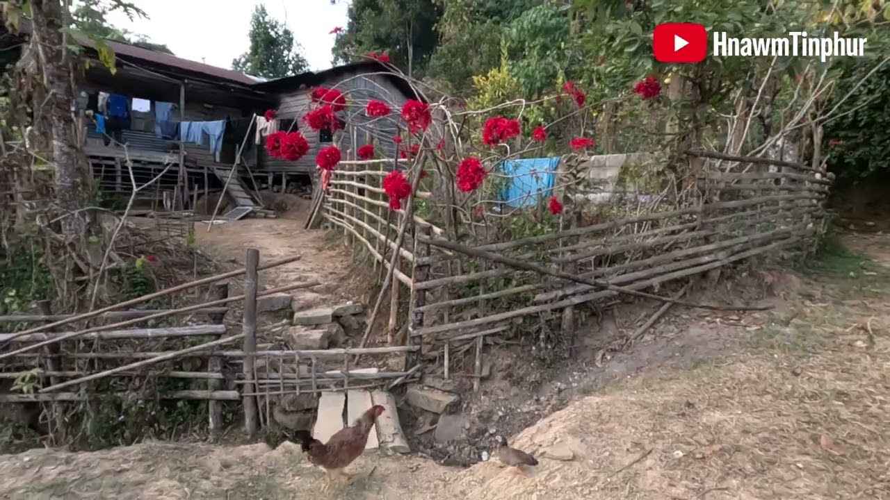 SENVON VLOG ( Part - 3) #hmar #mizo #vlog #vlogvideo #vlogs #villagevlog #vlogger #villagelife