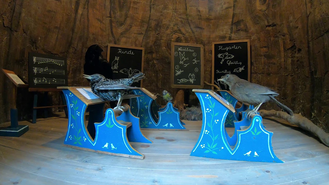 Freizeitpark Ruhpolding Attraktion M&auml;rchenwelt Vogelschule