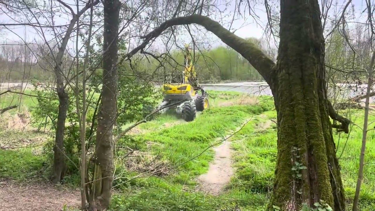 #menzimuck auf dem Weg in die #Isar bei Niederhummel