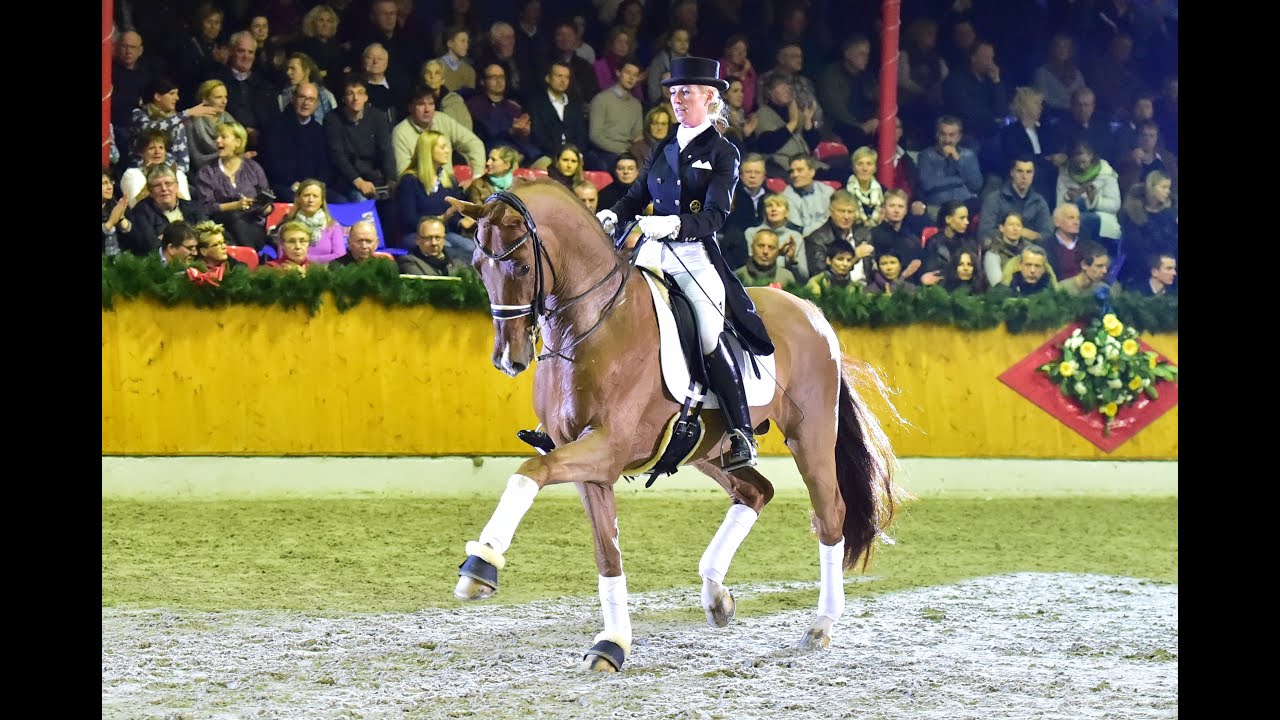 Vivaldi - Stallion Collection Schockemoehle & Helgstrand 2021 ENG
