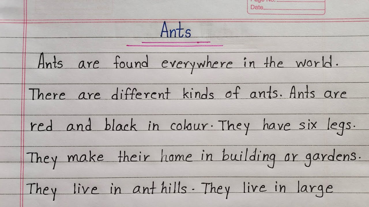 Essay Writing On Ants | Essay On Ants In English | Essay Writing