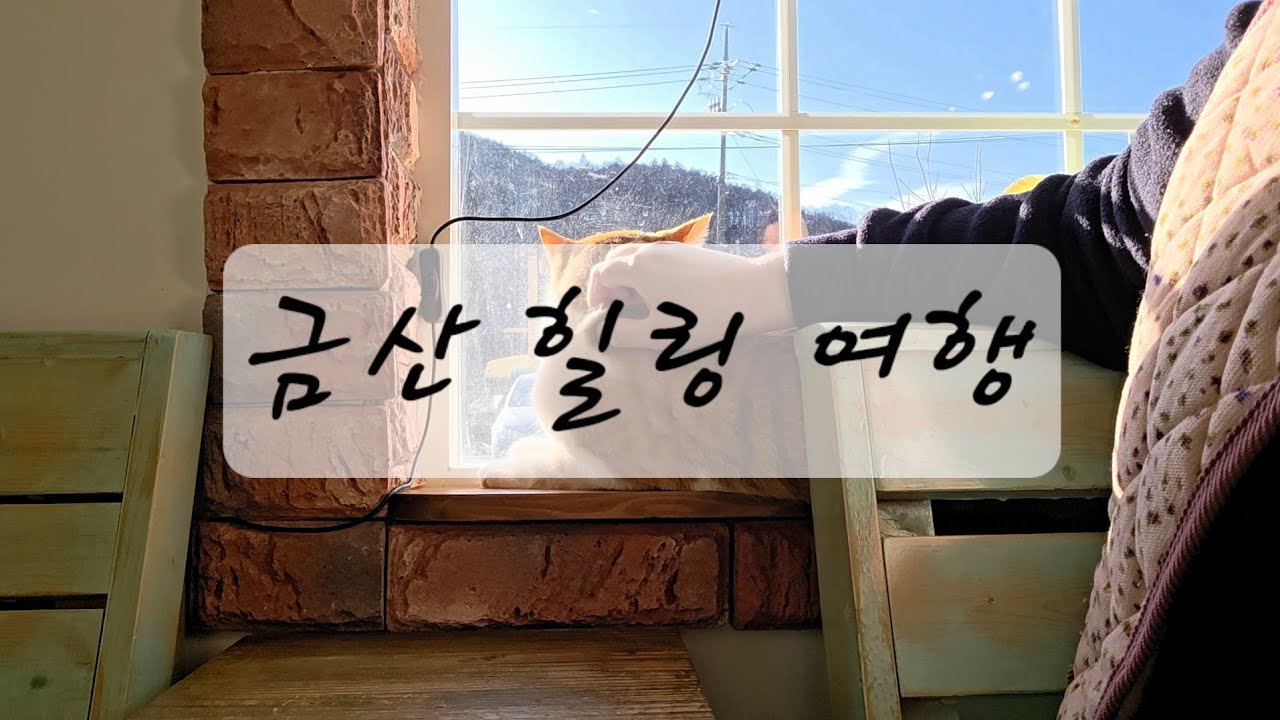 금산 1박2일 조용한 휴식🎐 | 고양이펜션, 바베큐, 충남
