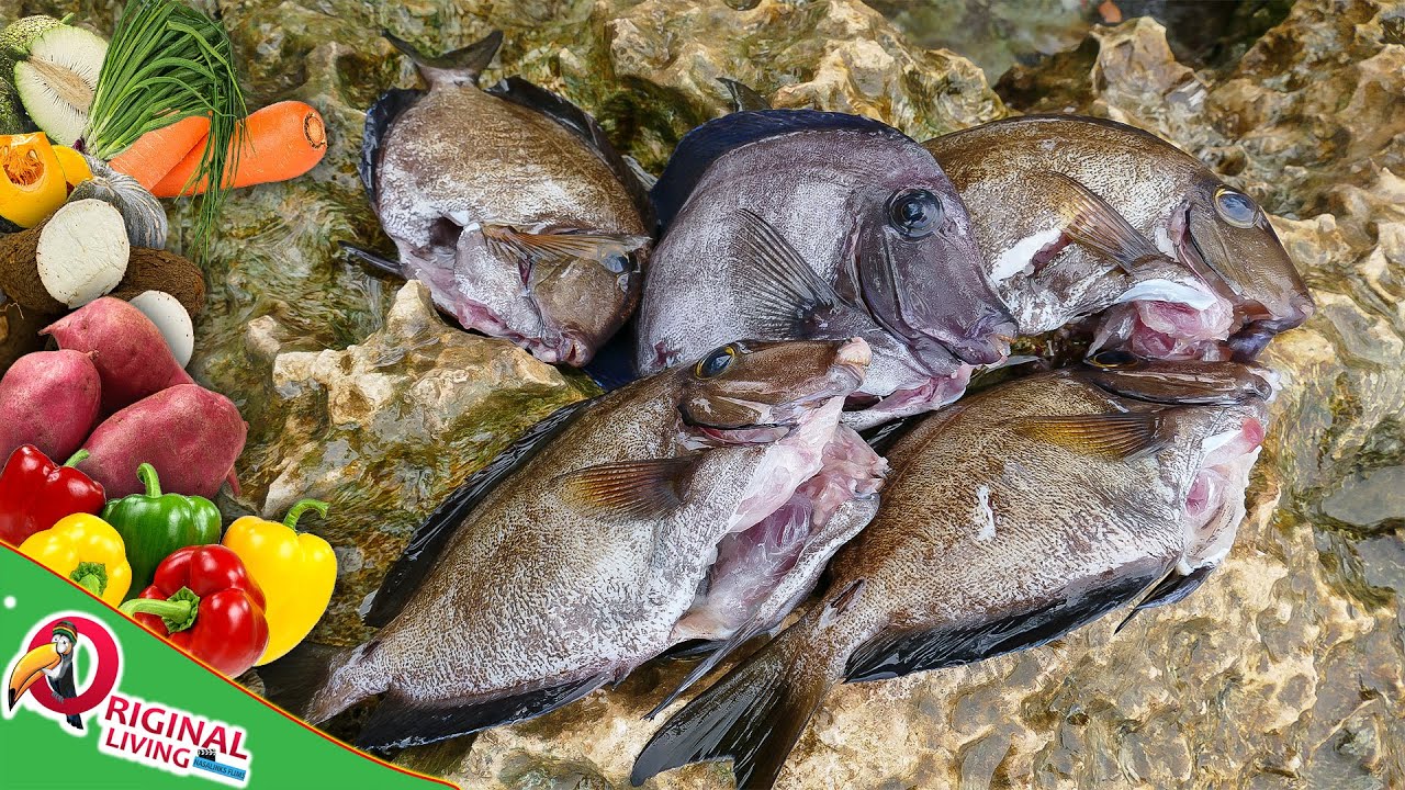 Doctor Fish Soup | Catch N Cook Style