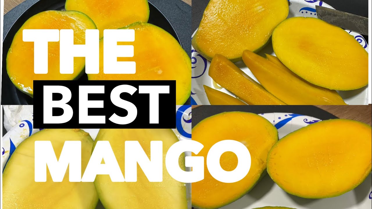 Best Tasting ￼Mango | Top Five 