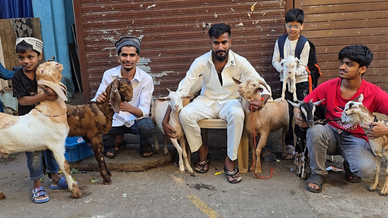 Mera Shouk Pura😱 Sab Set Saste Goats Chanas Looto Aur Shouk Karo || Anis Bhai Bhiwandi Mumbai ||