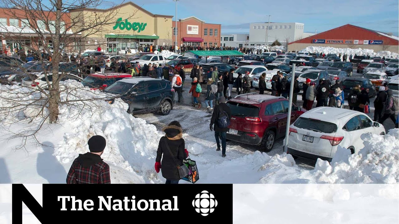 Massive lines for groceries after Newfoundland storm
