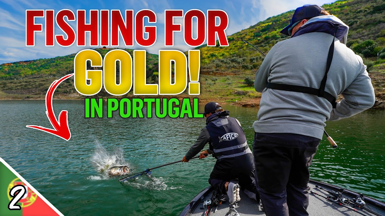 Fishing for Portuguese GOLD!! - Team USA Official Practice  (Black Bass World Championships 2023)