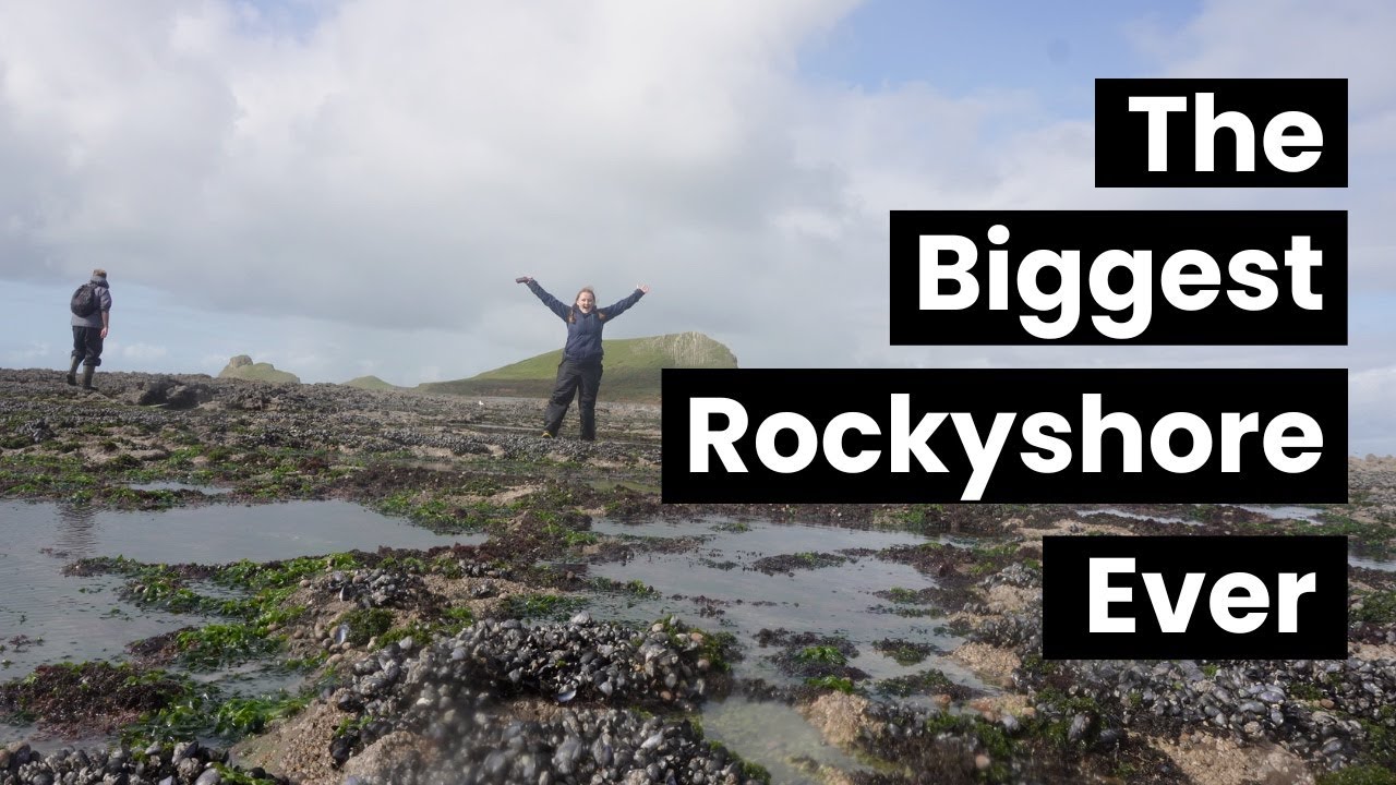 Rockpooling a HUGE rocky shore!!