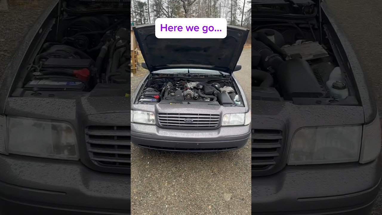 Don&rsquo;t buy Crown Vic&rsquo;s! 🥵🥵#shorts #cars #usedcars