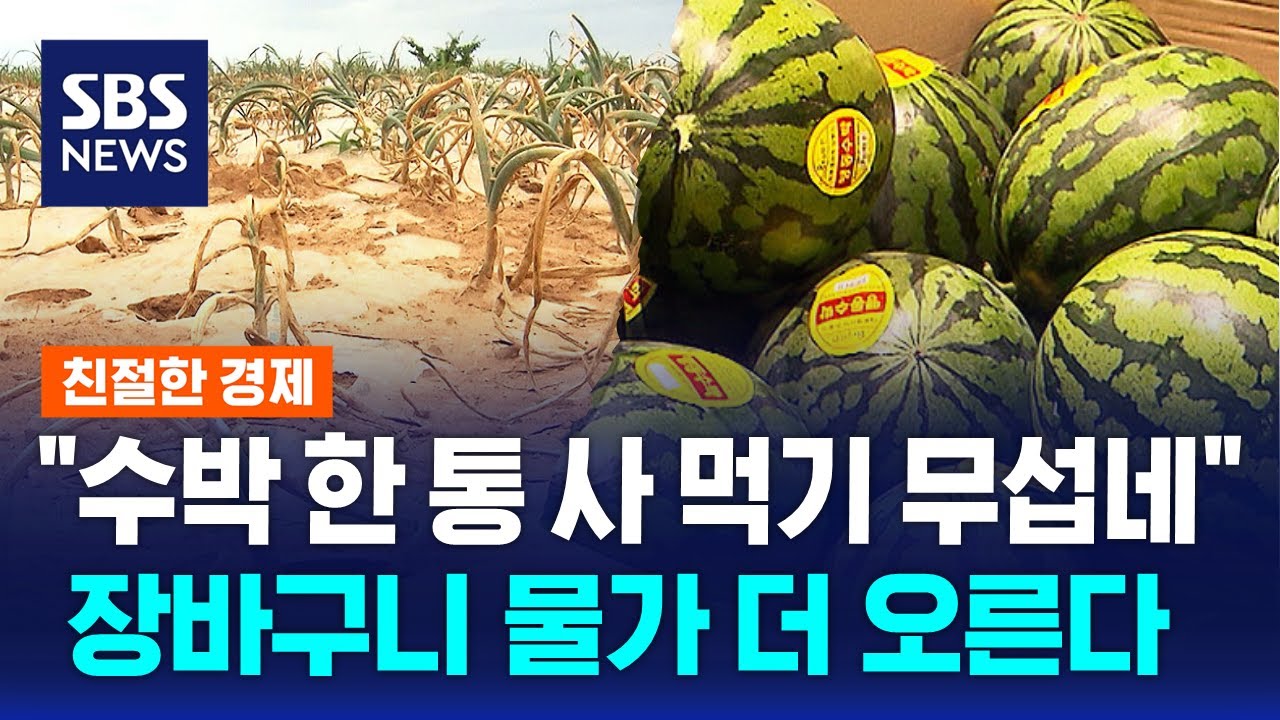 여름 이제 시작인데…메마른 땅에 농산물 가격 '껑충' / SBS / 친절한 경제