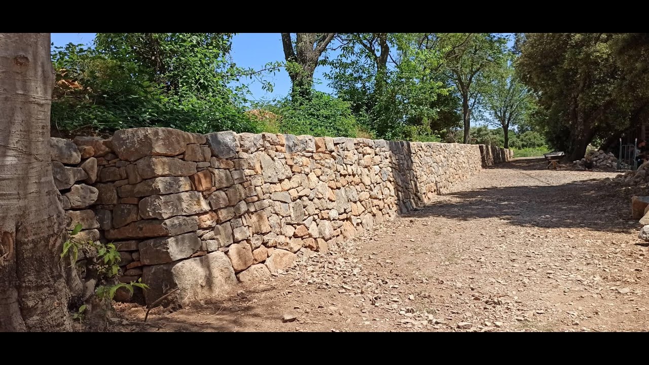 Mur en pierre sèche - Domaine Foulaquier à Claret (34)