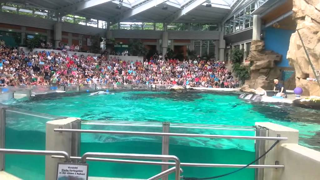 Zoo Duisburg RWE-Delfinarium