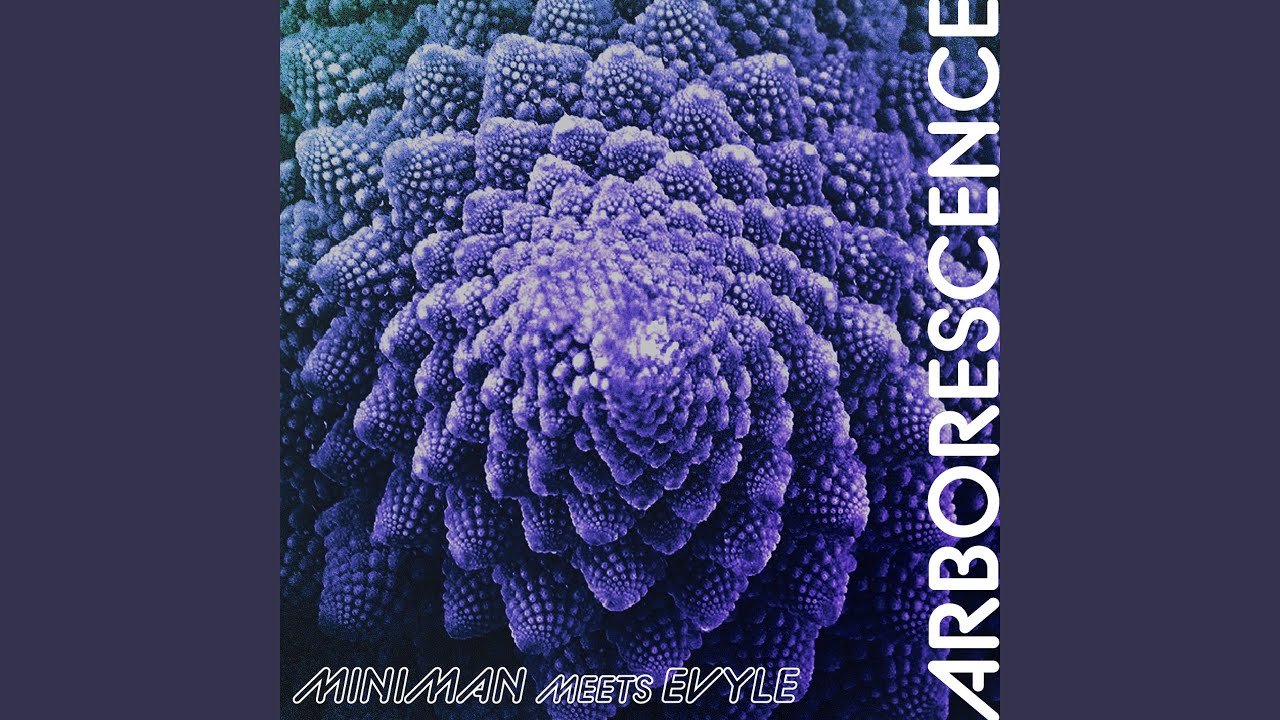 Danse des &acirc;mes (feat. Evyle)
