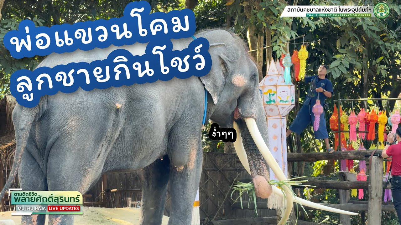 ตามติดชีวิต #พลายศักดิ์สุรินทร์ 10 ธันวาคม 2567 แอดเดียร์ แอดก๋อ แอดกระตุ่ย