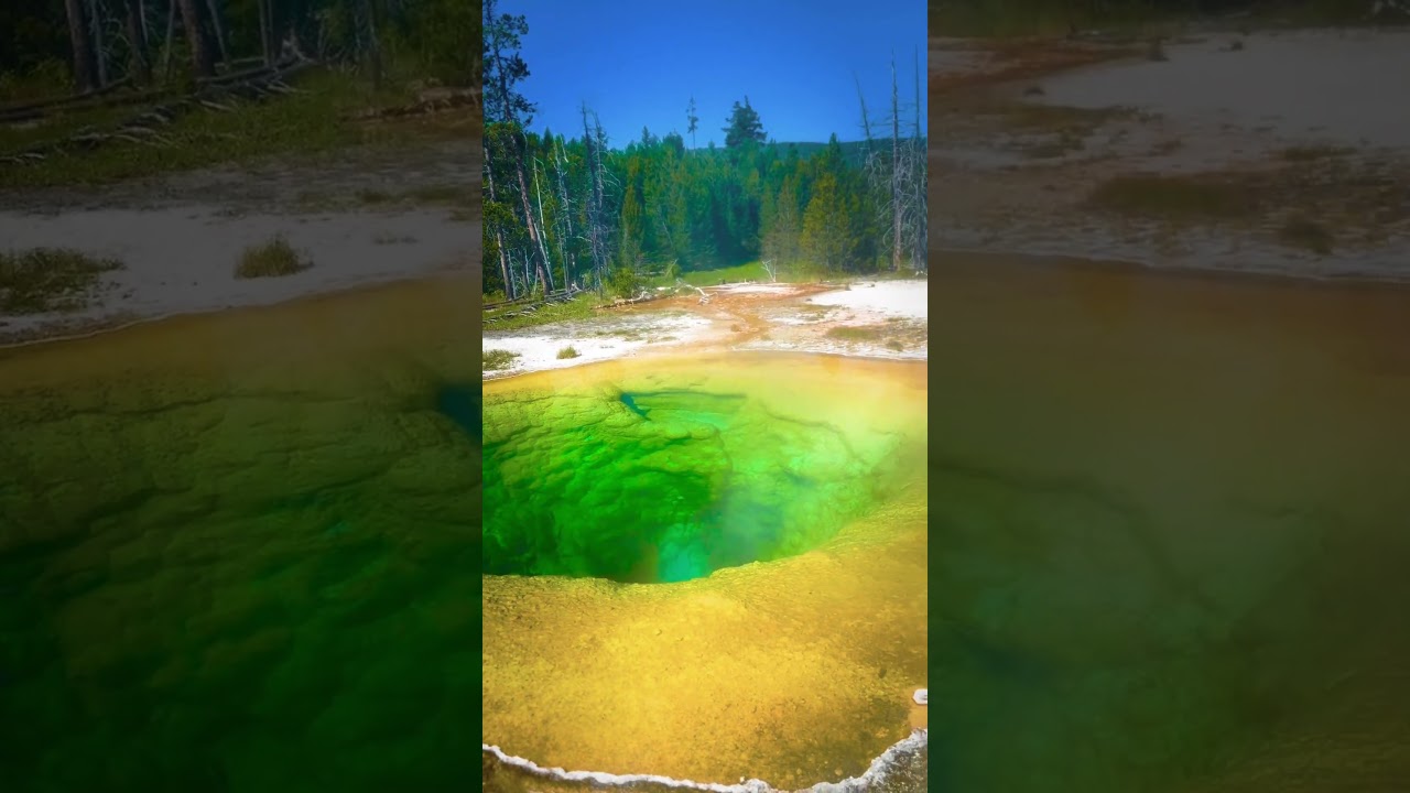 Hauntingly beautiful Hot Spring in Yellowstone National Park 😍 #yellowstone #hotspring #travel