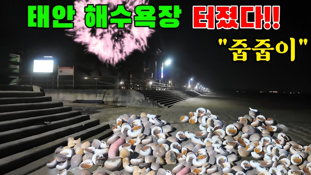 1년에 한번 해수욕장 온통 쫙~깔렸습니다