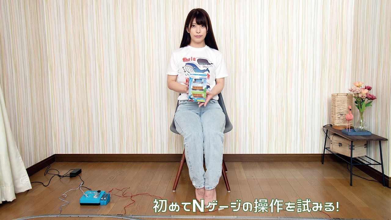 初めてNゲージの操作を試みる！