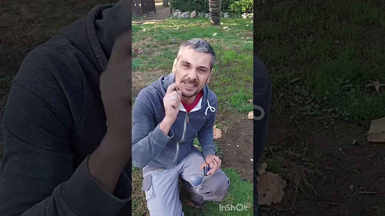Sistemo il giardino parte - 1
