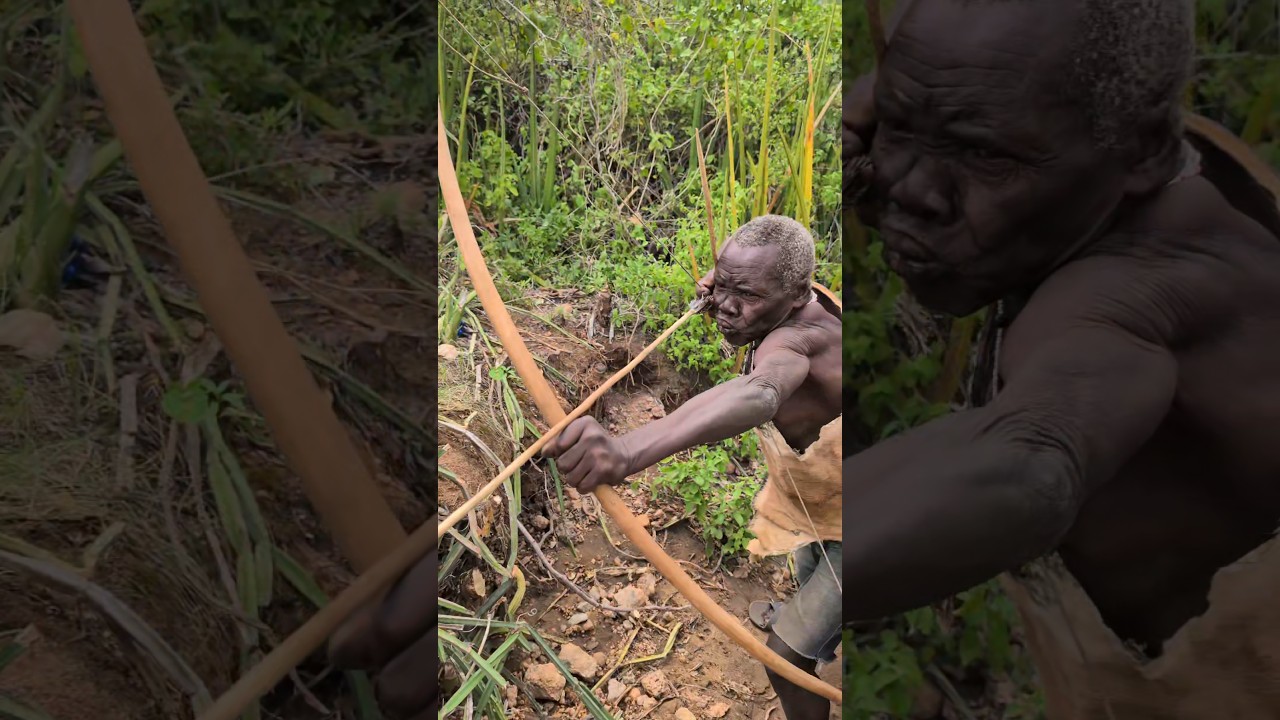 Old Bushman with millions of hunting tips and 90yrs experience ‼️😲😀#africa #villagelife #funny