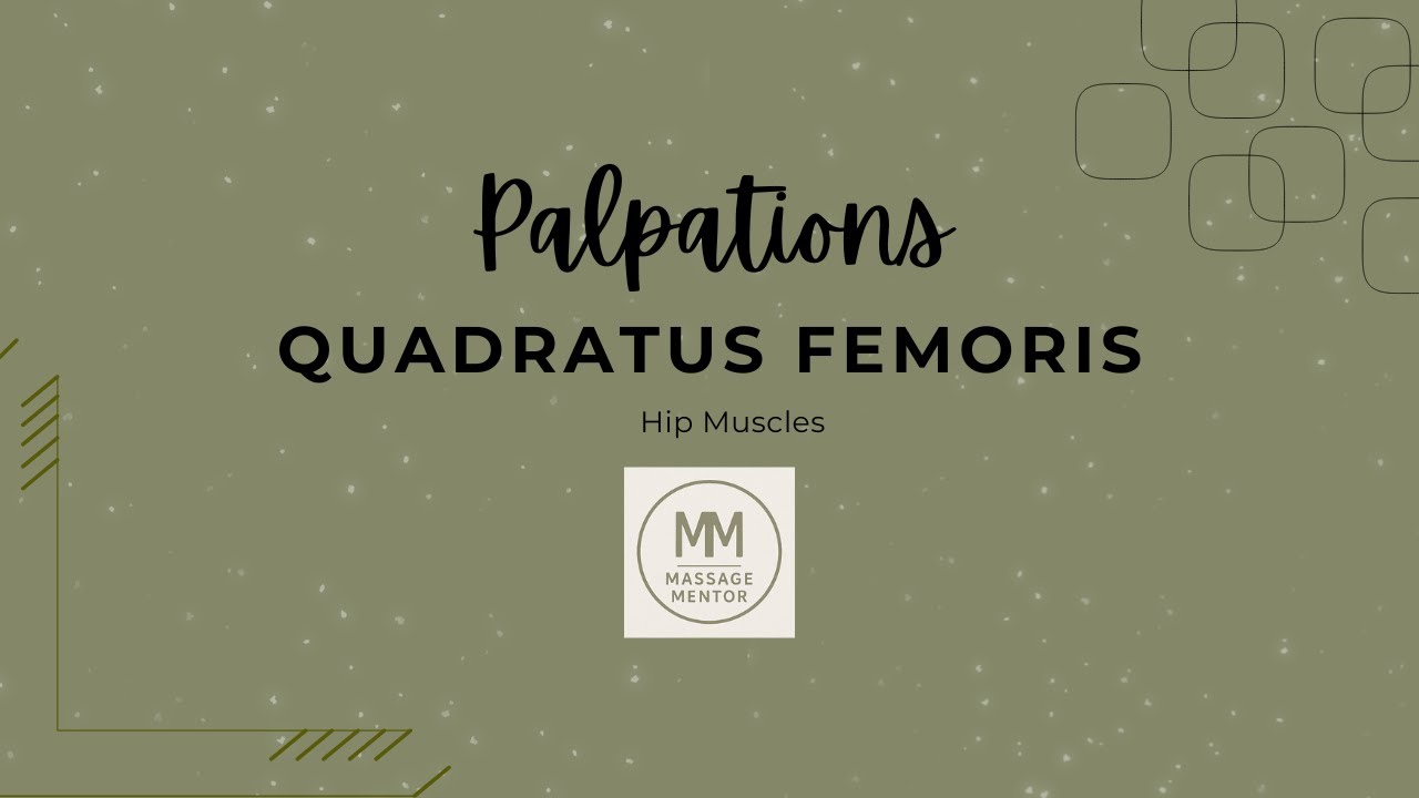 Quadratus Femoris Palpation