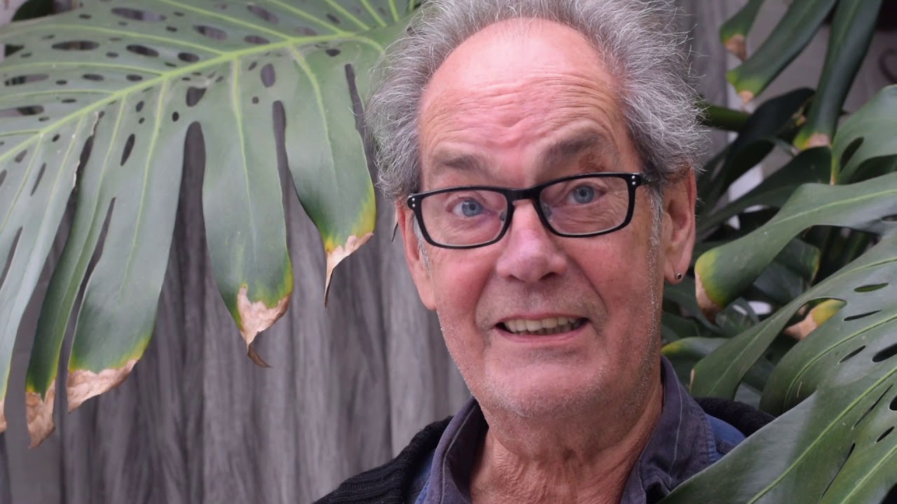 Bruno Pachauer 